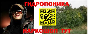 трава Ставрополь