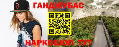 трава Ставрополь
