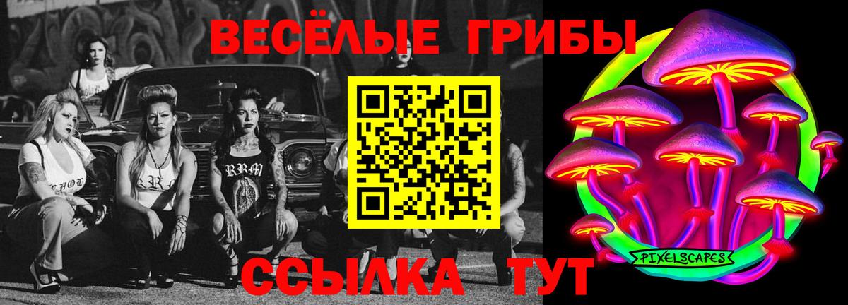Острогожск  Псилоцибиновые грибы MAGIC MUSHROOMS  Вход с VPN  Псилоцибиновые грибы GOLDEN TEACHER 
