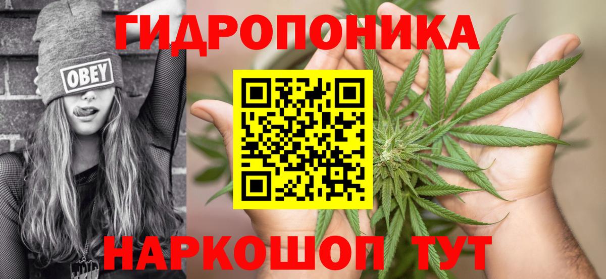 Бошки марихуана индика  Вход с VPN  МАРИХУАНА VHQ  Острогожск  Каннабис THC 21%  Бошки Шишки THC 21% 